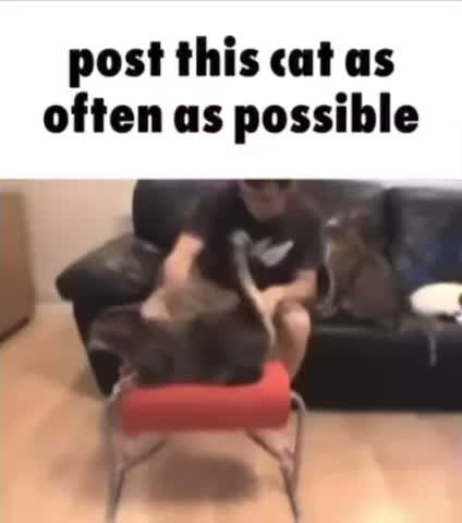 Meme shared by @Vcgo