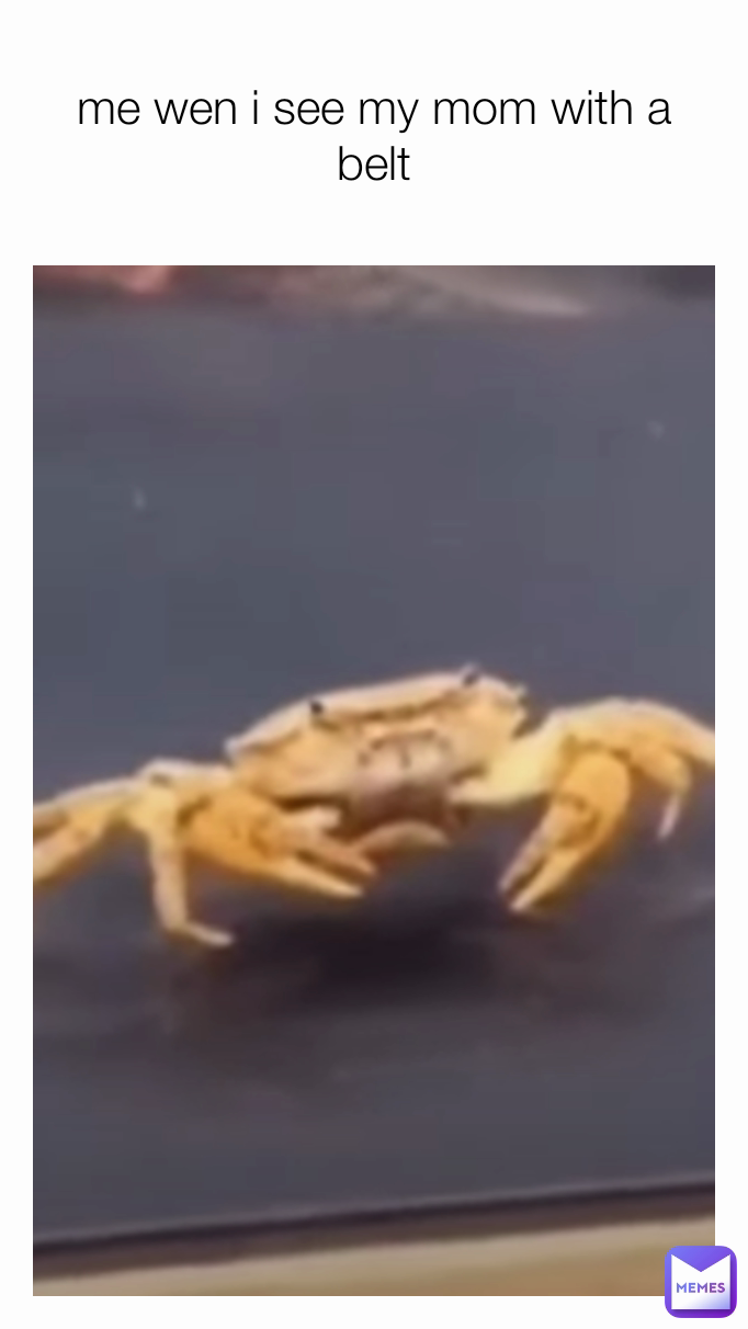 Meme by cameron-collins