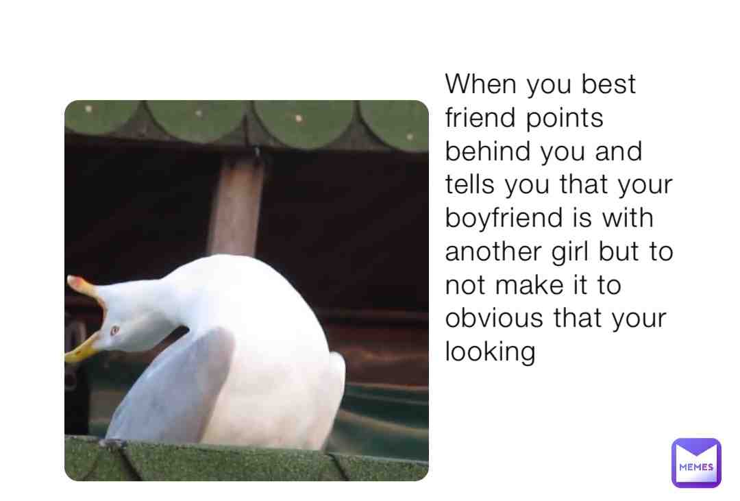 Meme shared by @maddie-winner