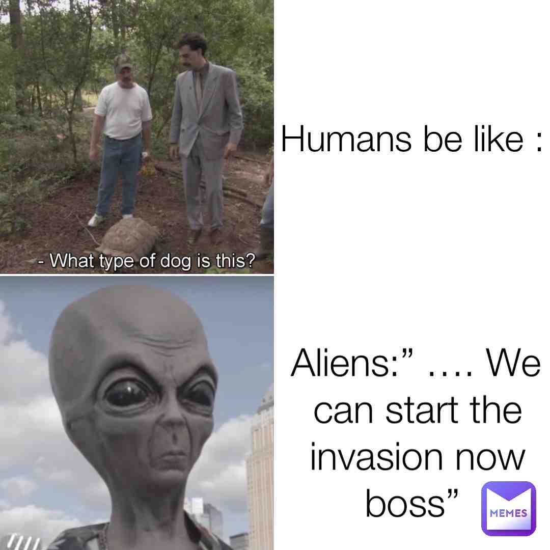 🤣🤣