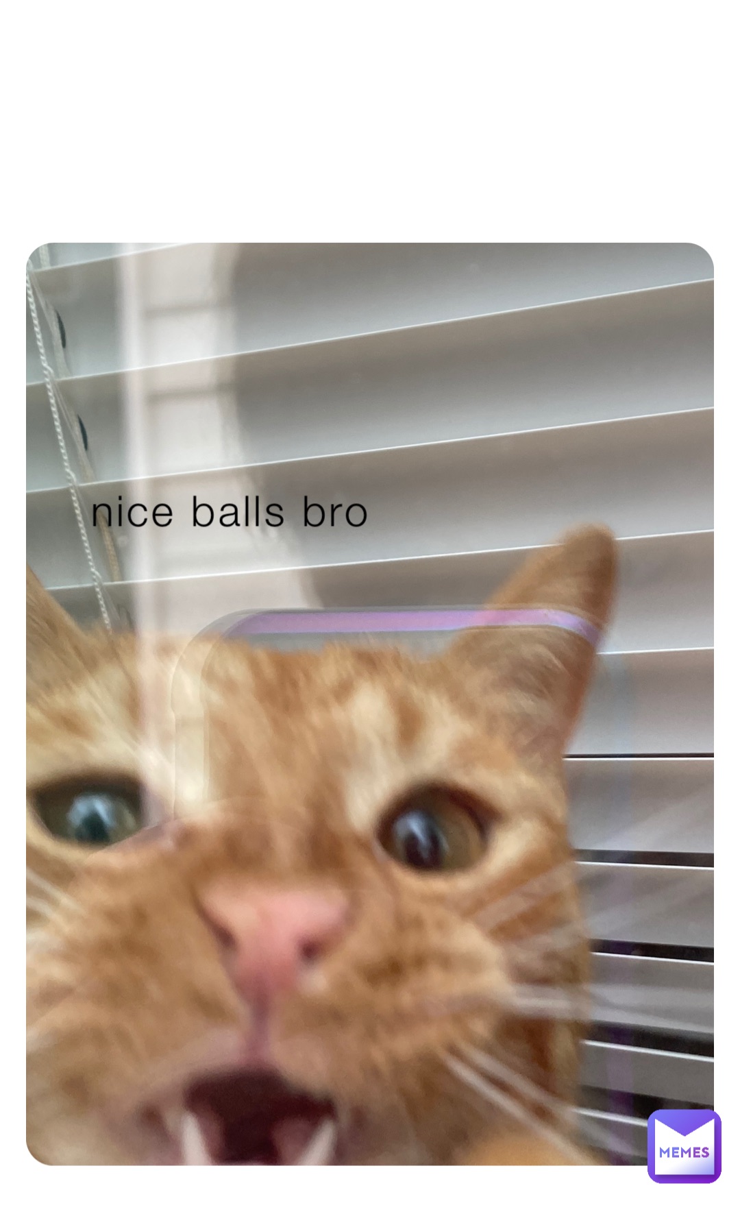 nice balls bro