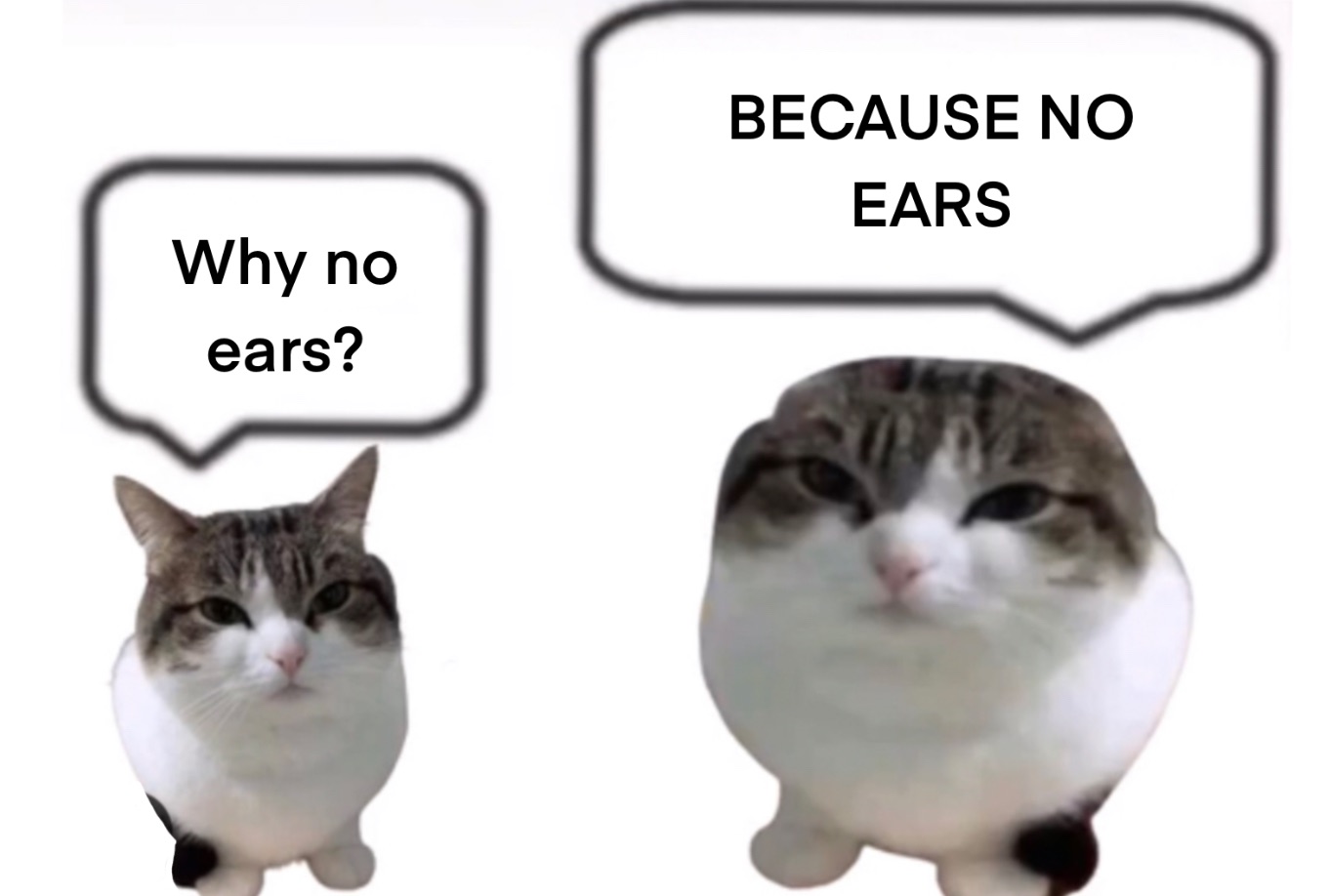 Meme by Charlie_fox13