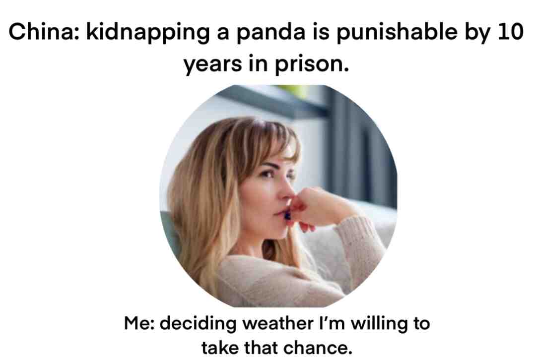 Heh idk panda #panda