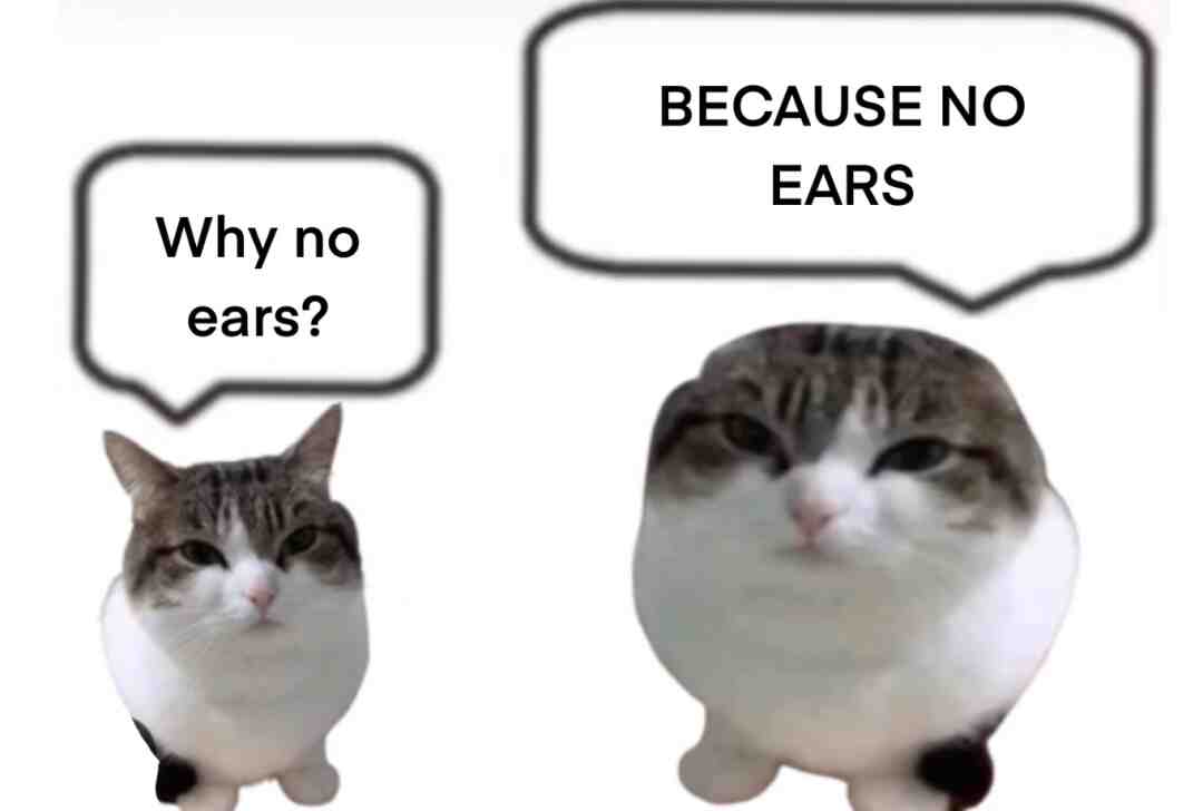 Idk why # #e