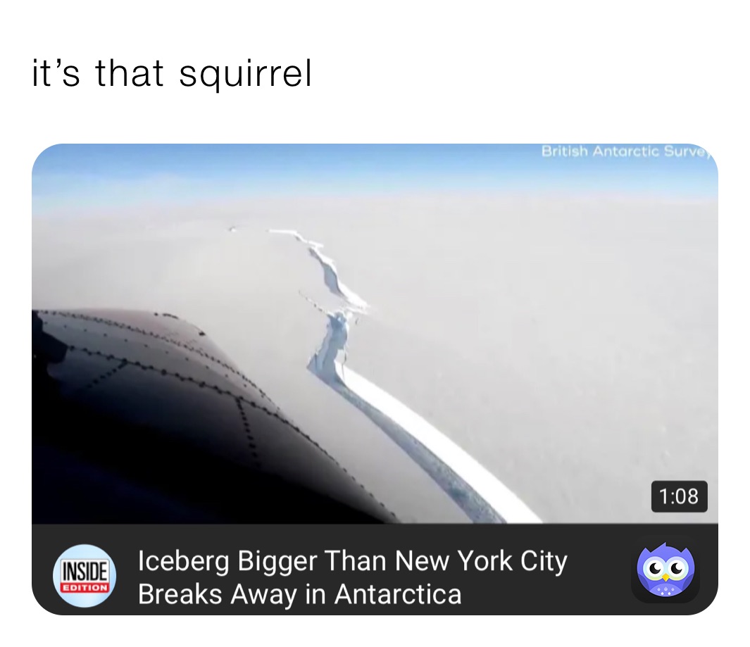 it’s that squirrel 