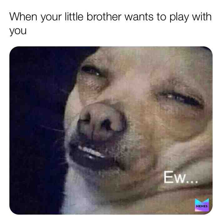 But then your mom force you into playing with him☹️ #memes #dailymeme #brothers