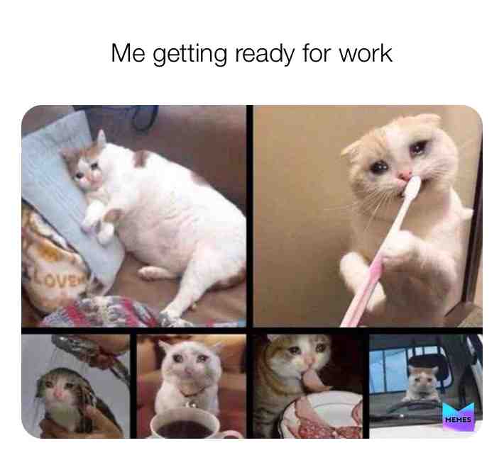 This is me everyday. Im soooo not a morning person😂 #memes #catmemes #dailymemes