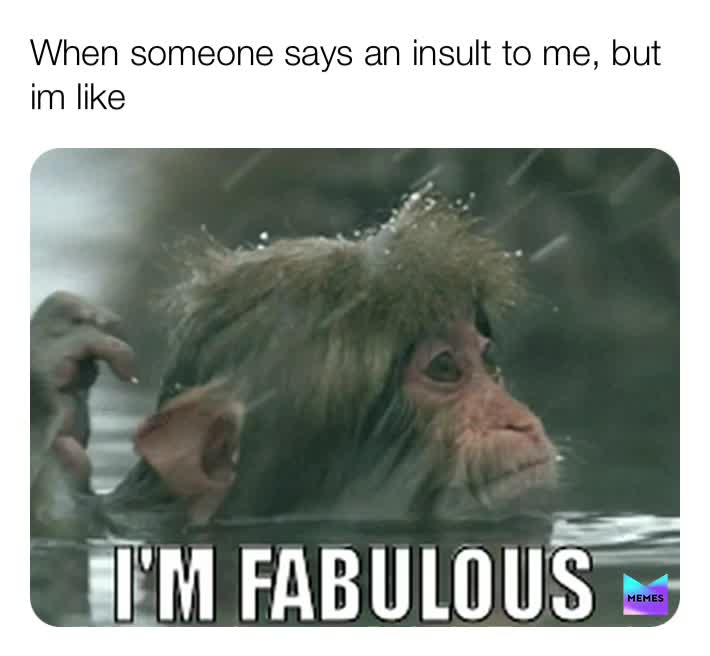 #meme  #fabulous  #dailymemes  #moneymemes  #daily                                 First comment gets a follow