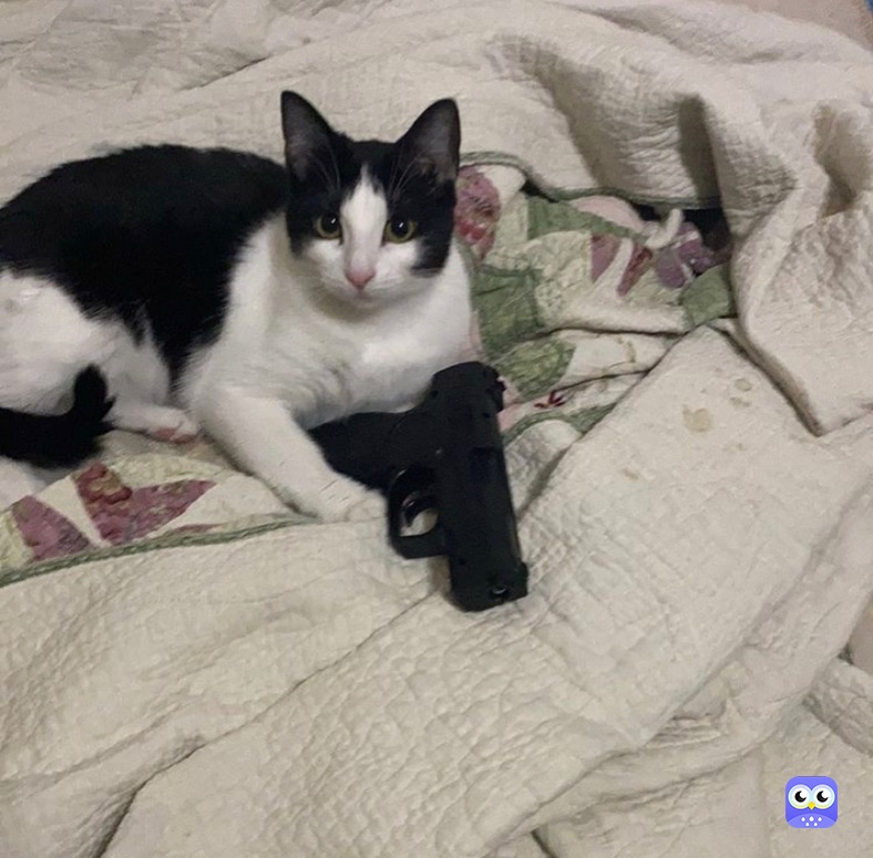 Meme by memepods_is_back