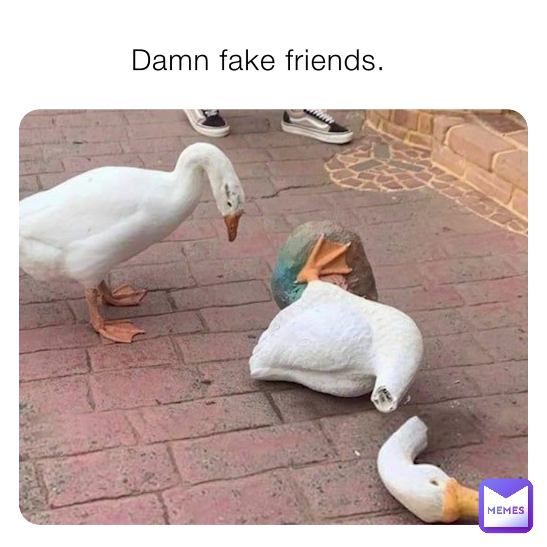 Damn fake friends.