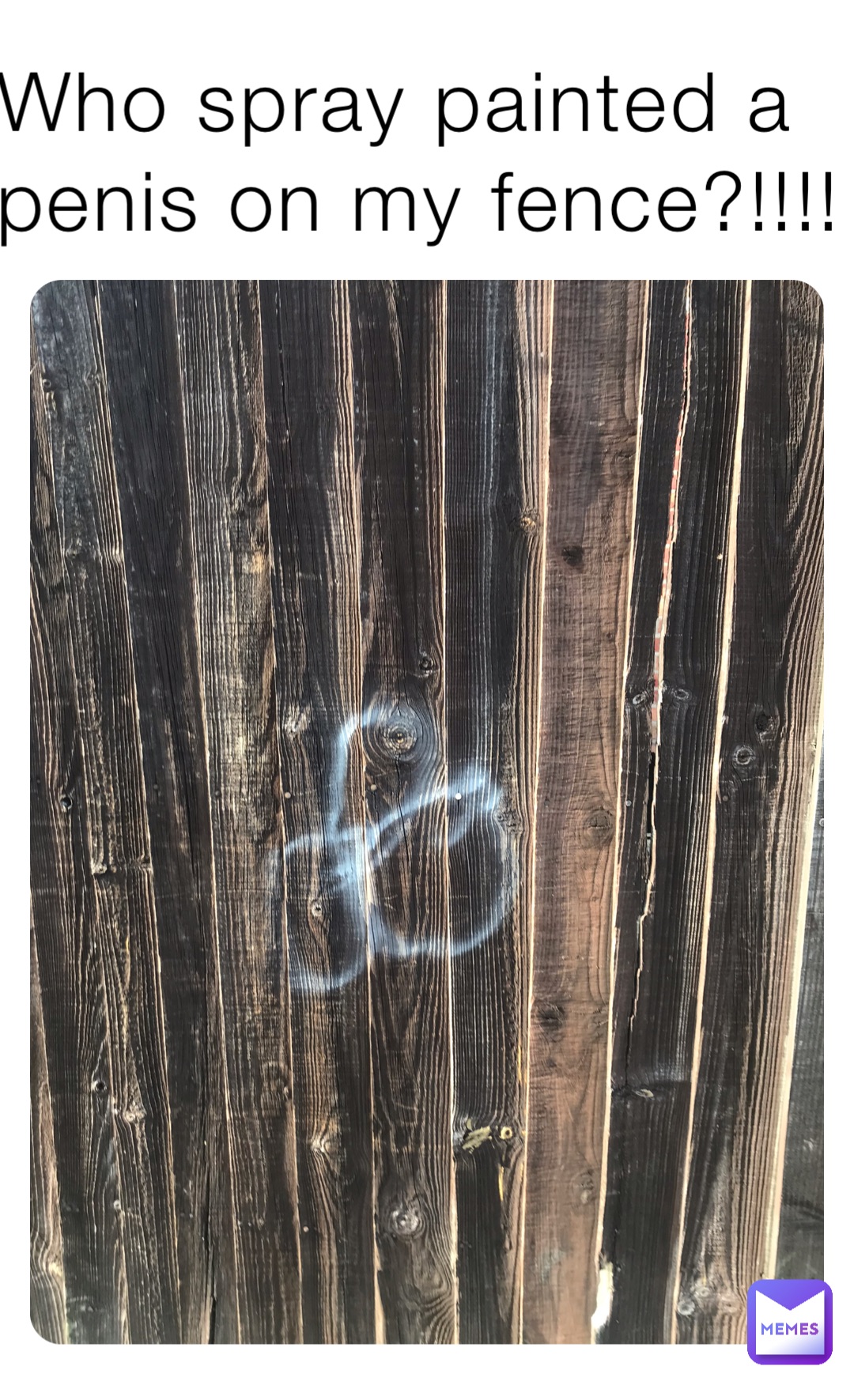 Who spray painted a penis on my fence?!!!!