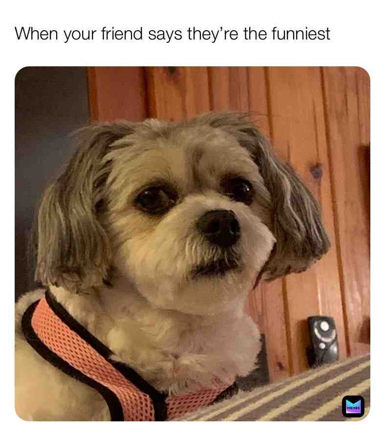 Meme shared by @scarscar29