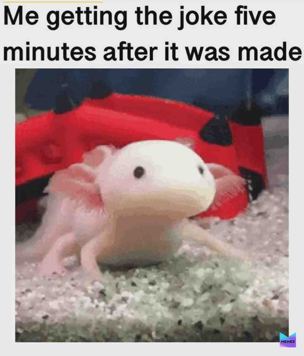 Meme shared by @GREAT_VIBES