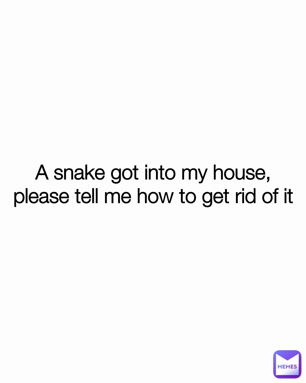 A snake got into my house, please tell me how to get rid of it