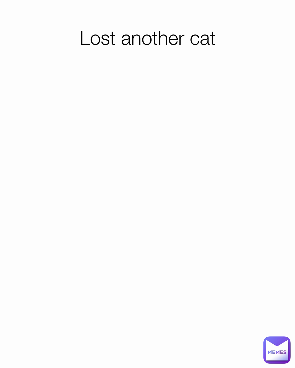 Lost another cat