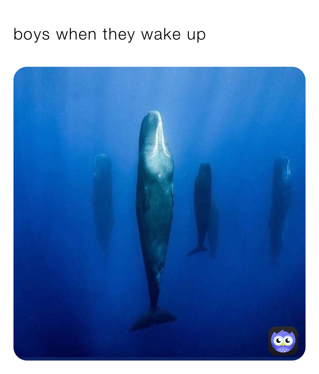 Meme by mememagazine2020