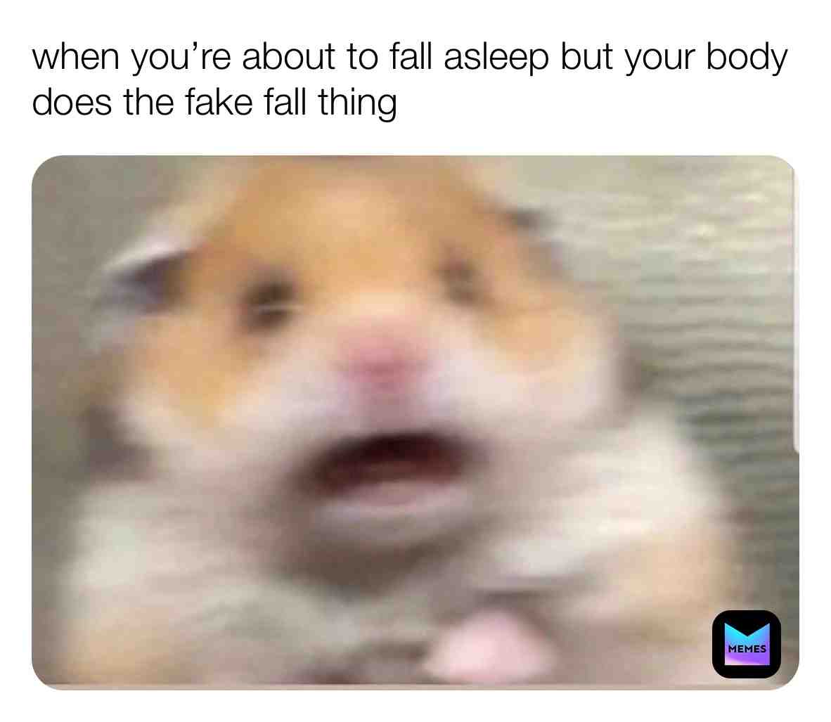  #funny #haha #followforfollow #meme #memes #like #likeforlike #lol