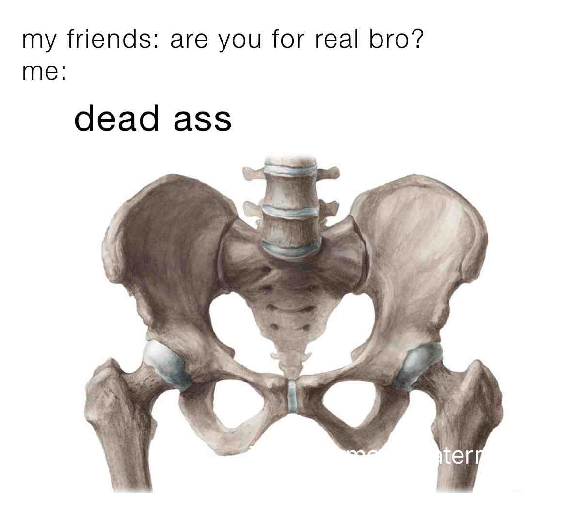 LMFAO #funny #dead #swear #likeforlike #like #haha #funny #followforfollow #meme #memes #lol