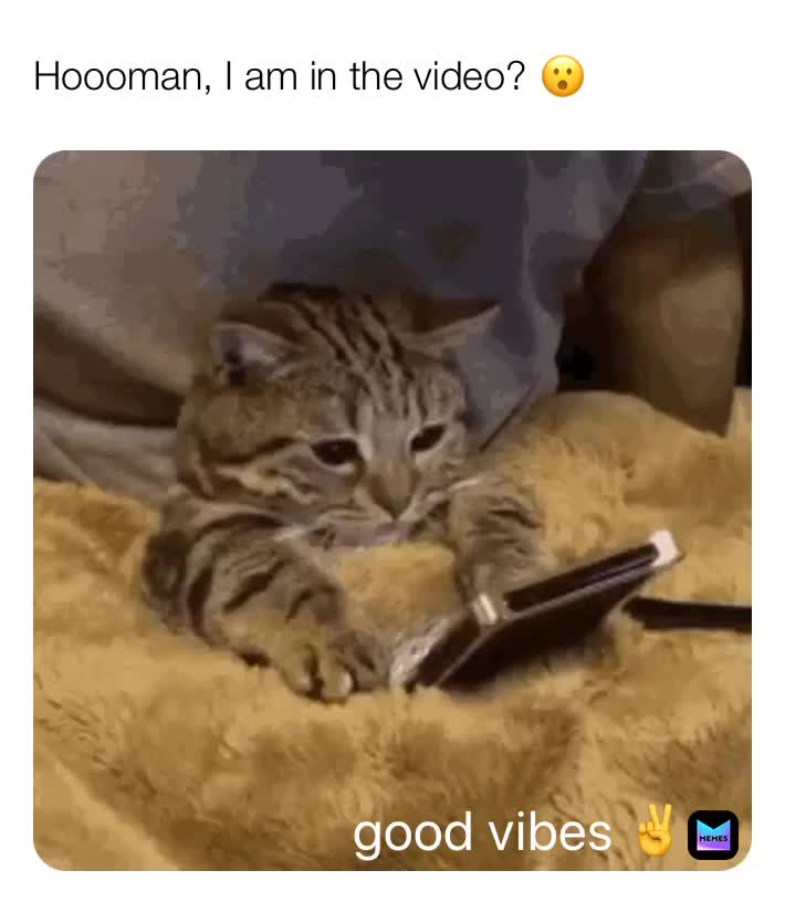 #nowordsneeded  #cutememes #memes