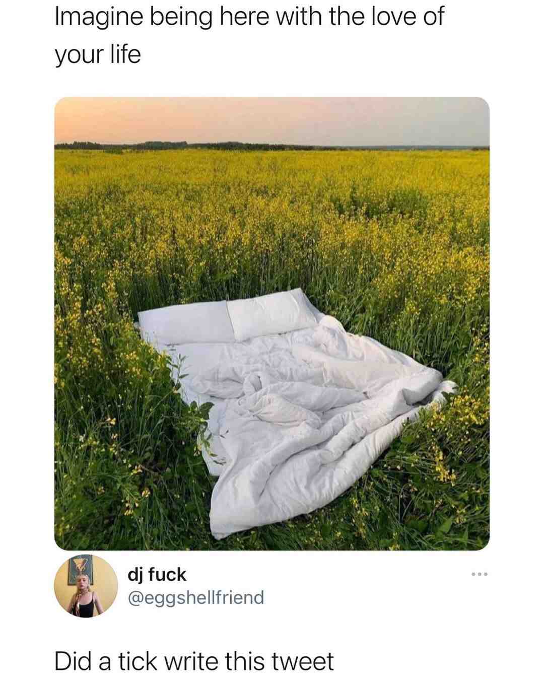 Meme preview