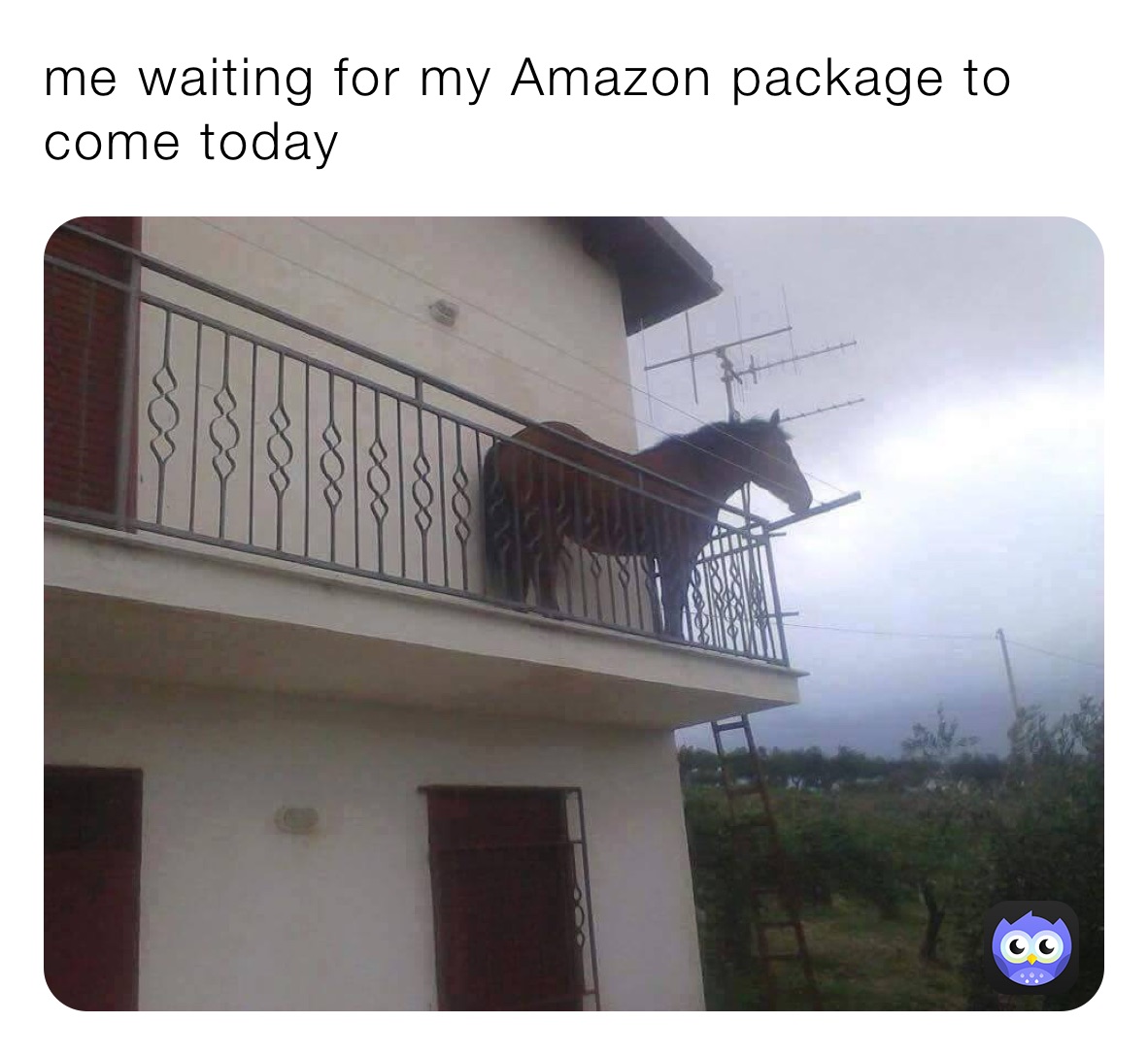 me waiting for my Amazon package to come today 