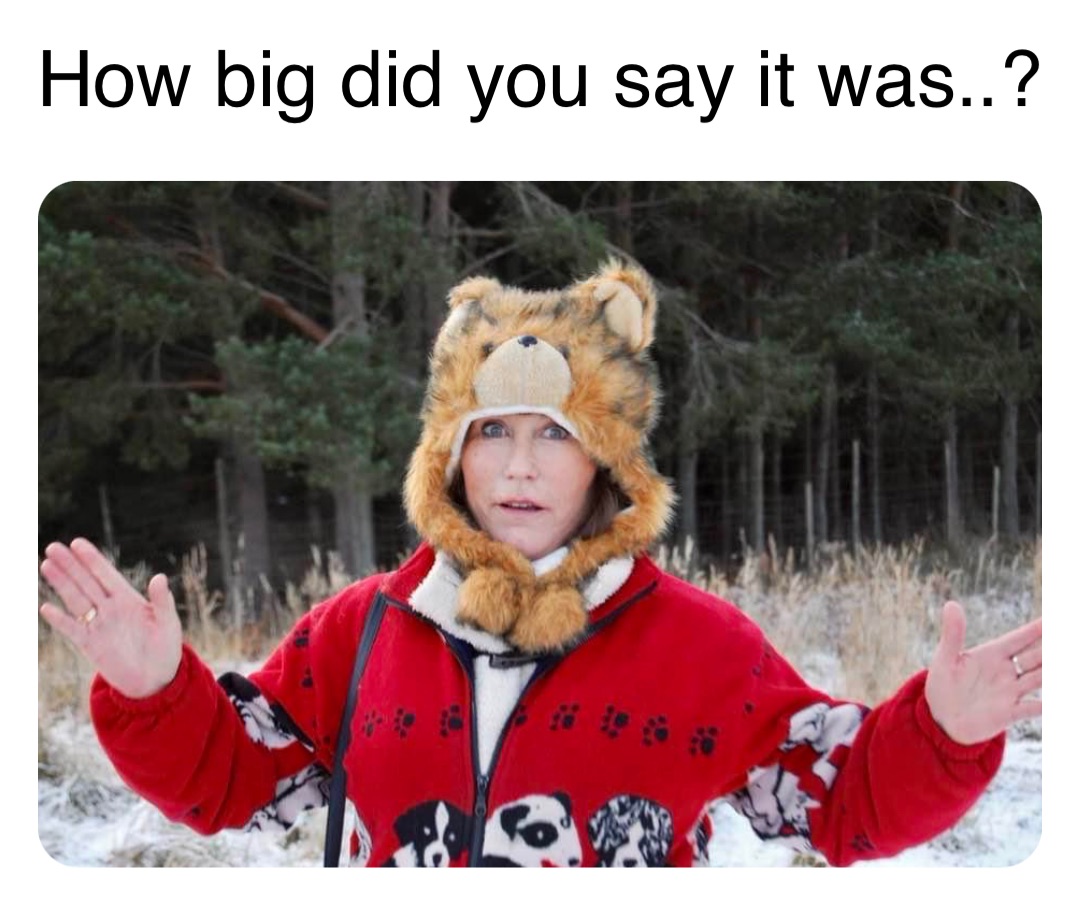 How big did you say it was..?