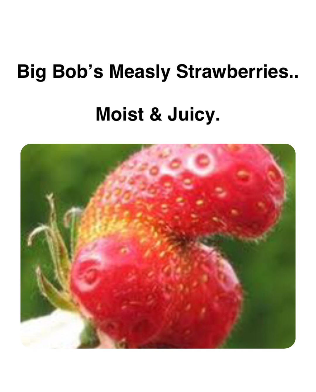 Big Bob’s Measly Strawberries..

Moist & Juicy.