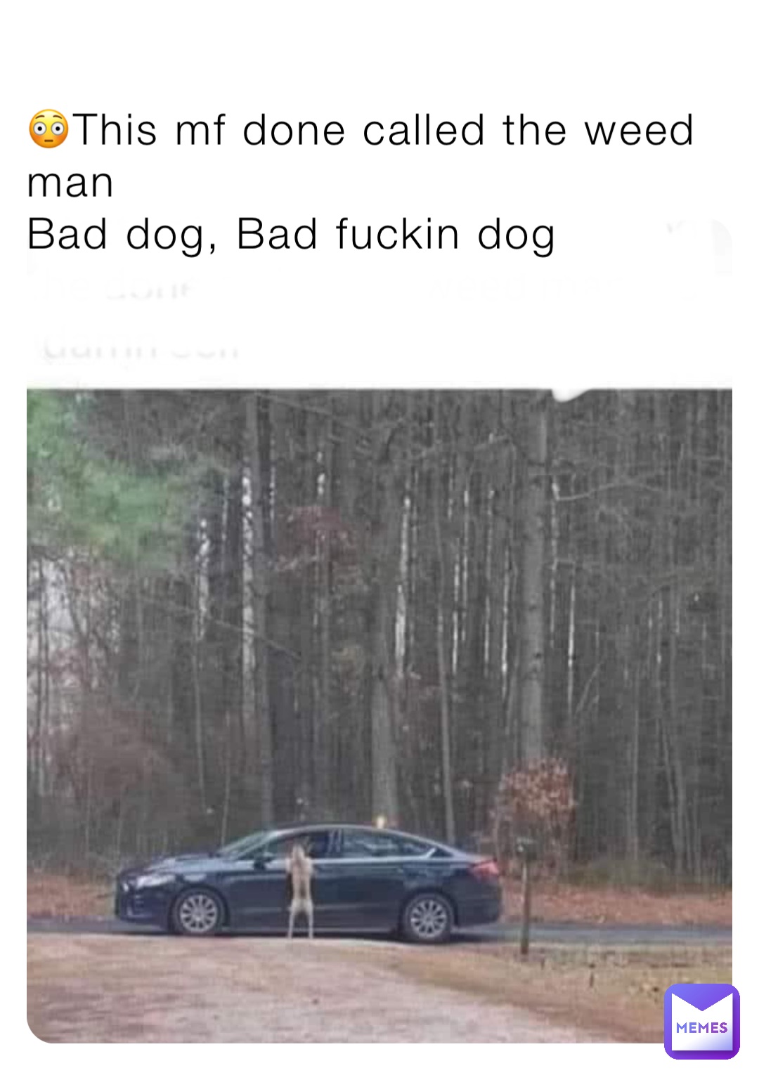 😳This mf done called the weed man
Bad dog, Bad fuckin dog