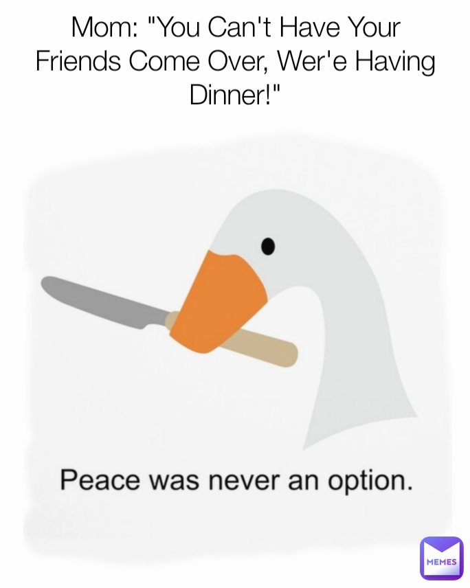 Meme by brodythememer67