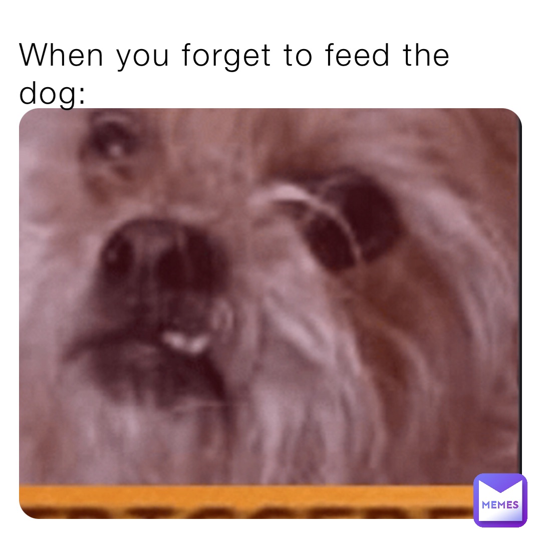 When you forget to feed the dog: