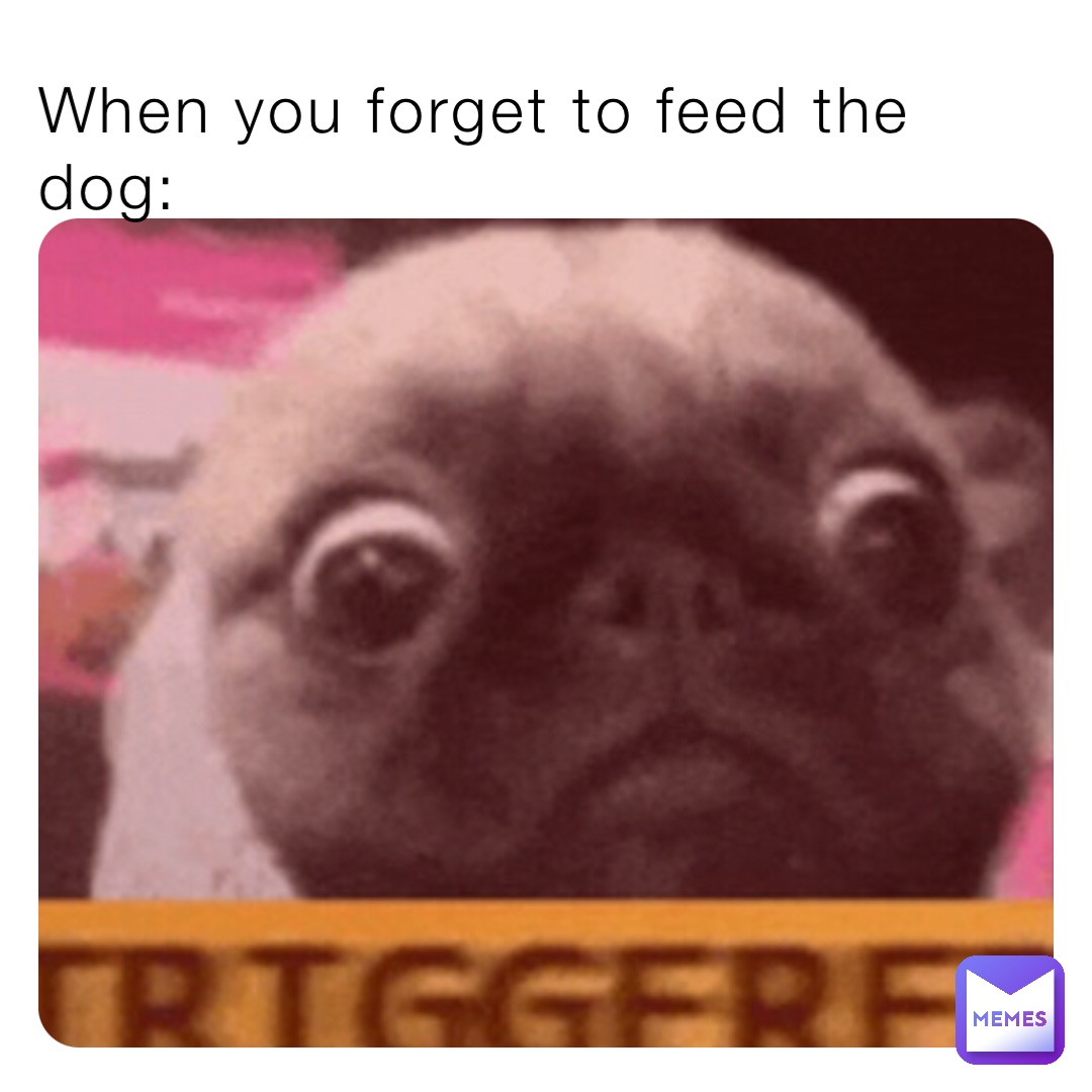 did you feed the dog meme｜TikTok Search