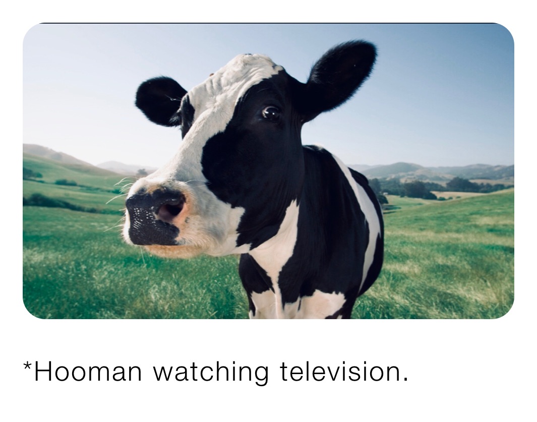 Hooman watching television *Hooman watching television. 