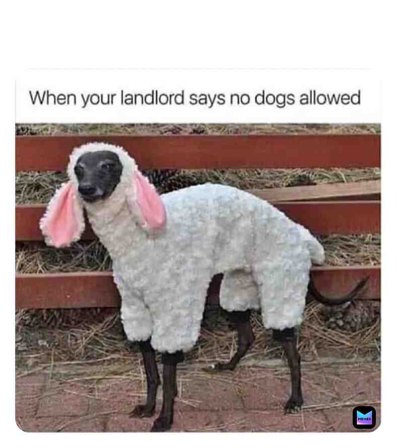 Meme shared by @heaven_rb13