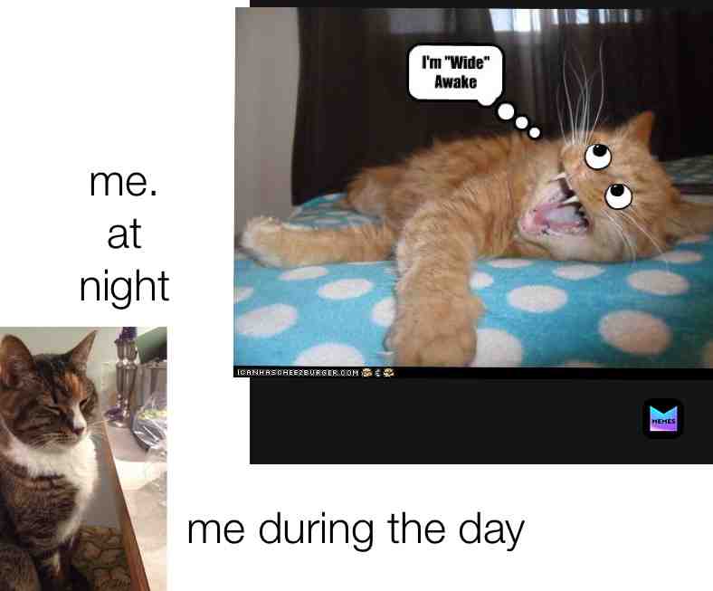 Meme shared by @heaven_rb13