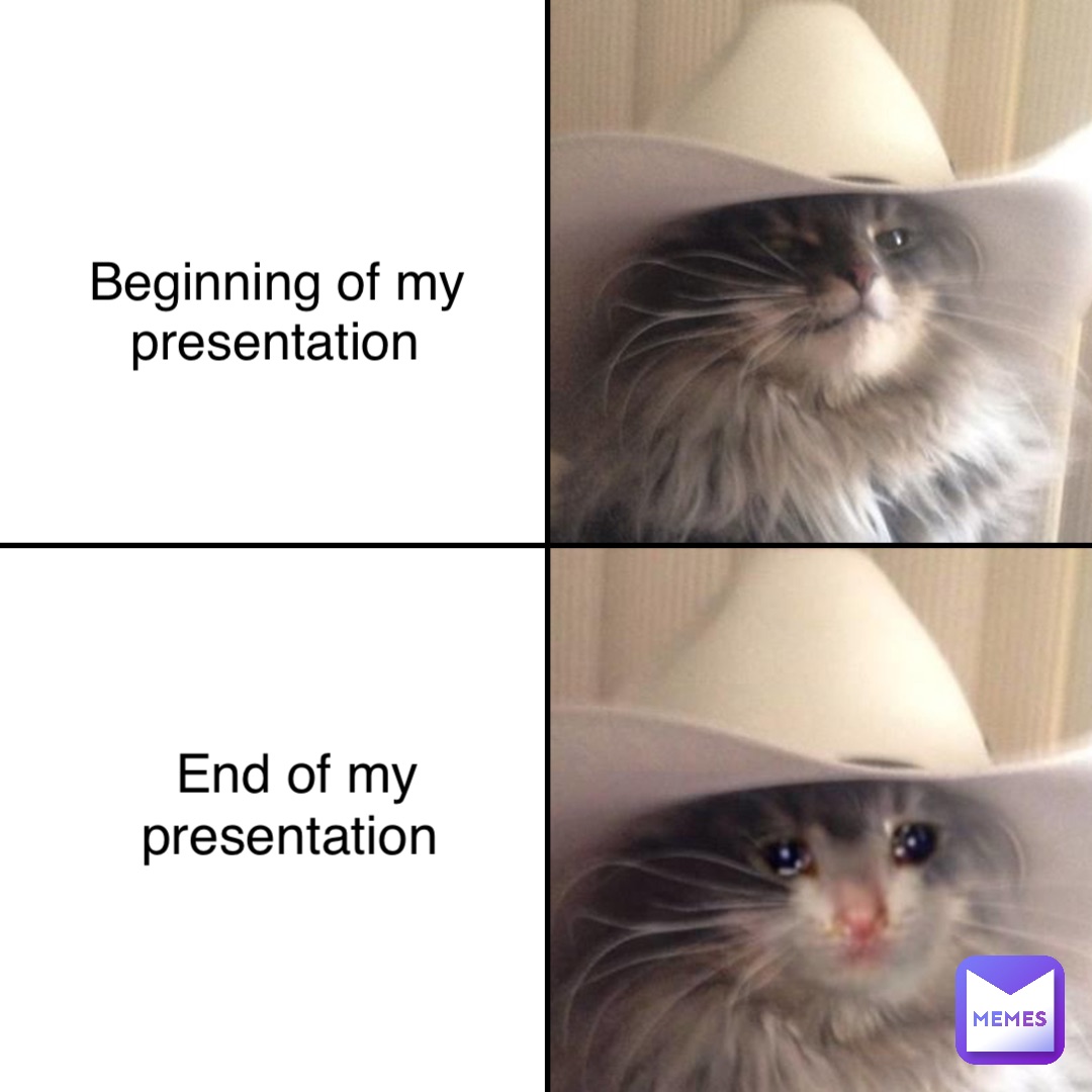 beginning of presentation meme