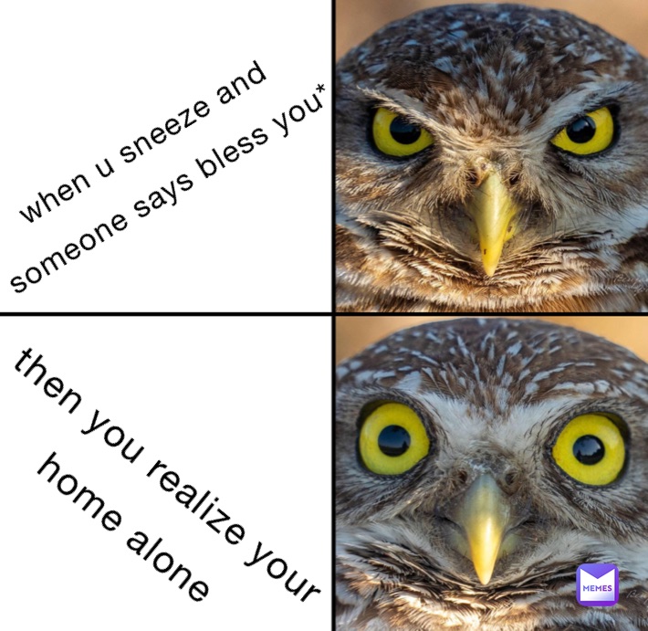 Meme by dkydlydlydkydk