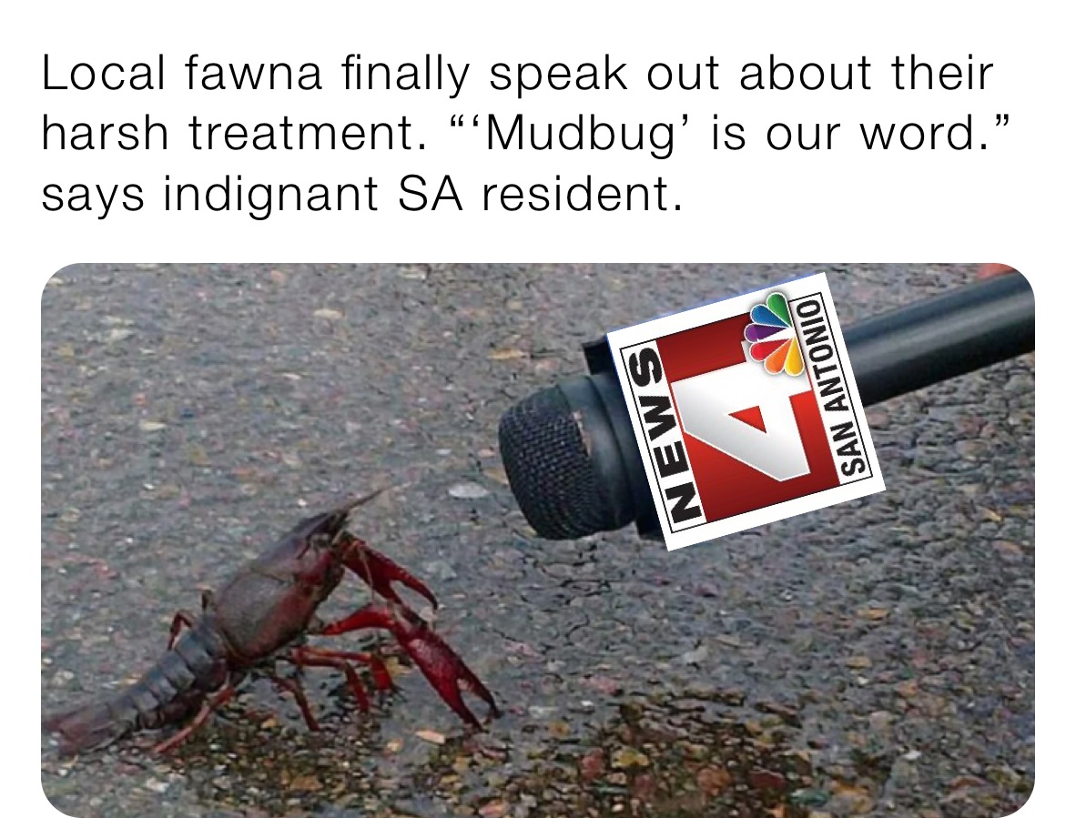 Local fawna finally speak out about their harsh treatment. “‘Mudbug’ is our word.” says indignant SA resident.