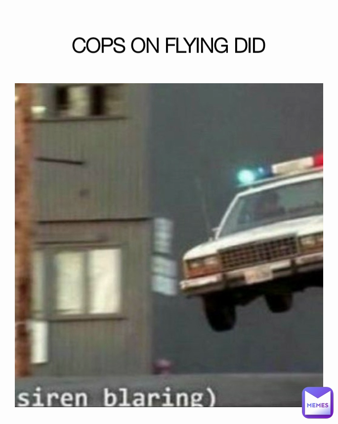COPS ON FLYING DID