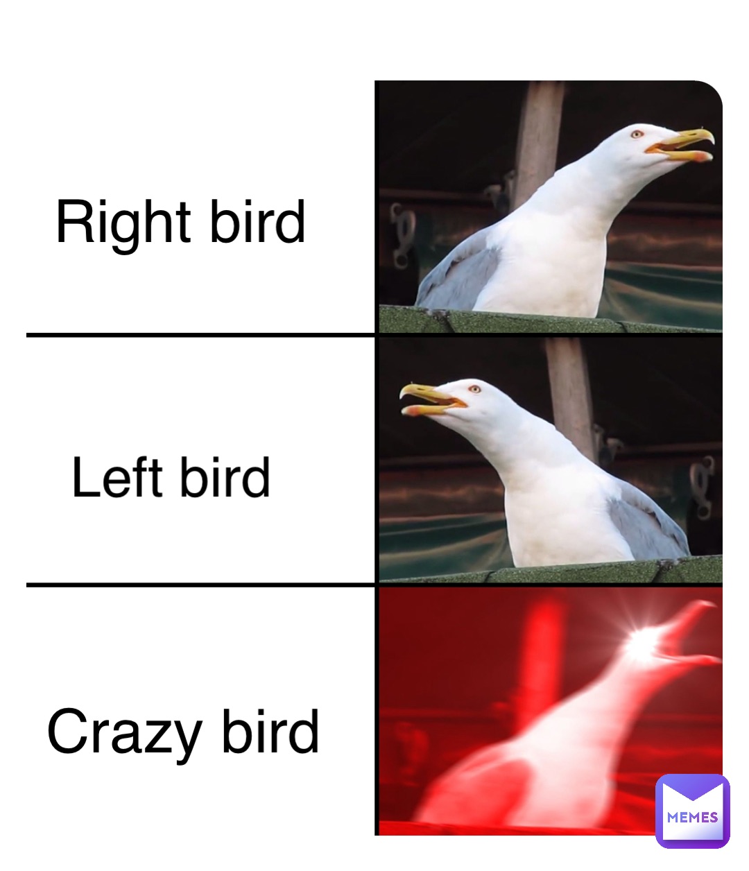 Right bird Crazy bird Left bird