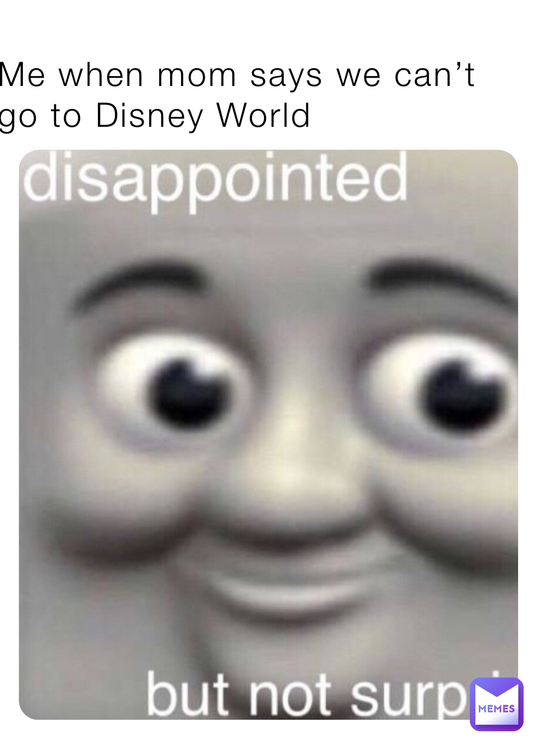 Me when mom says we can’t go to Disney World
