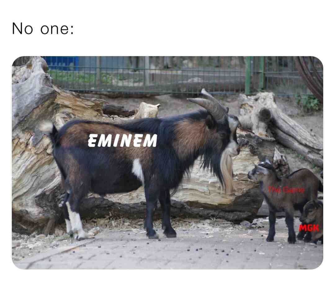 Meme shared by @GhoSSt182