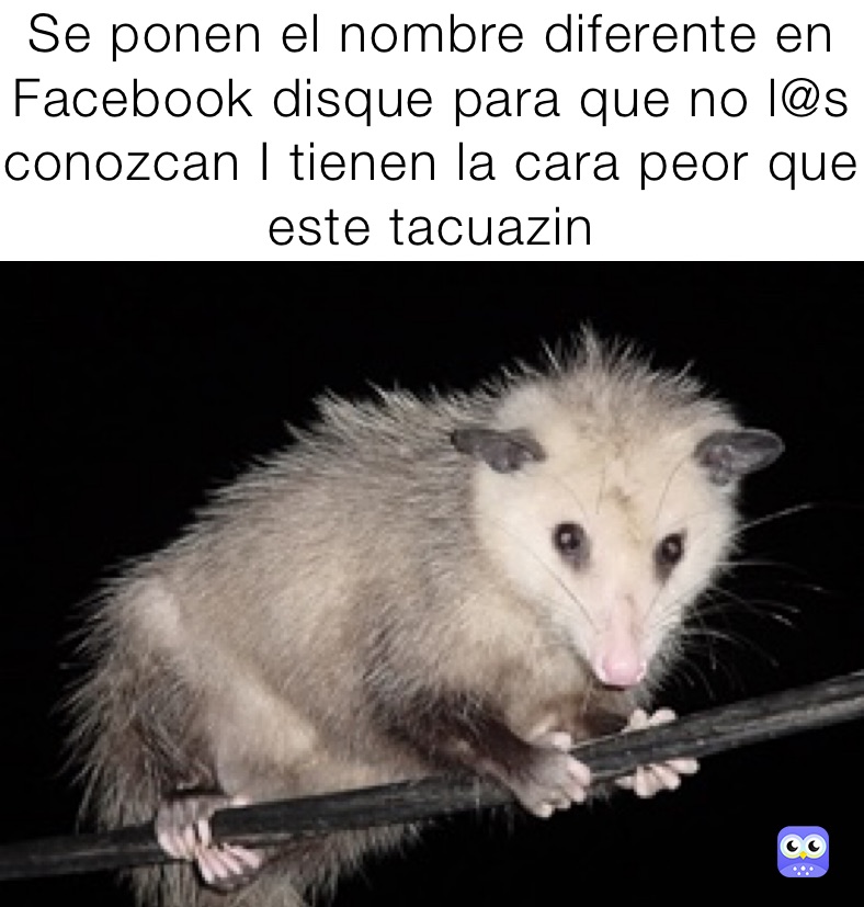 Se ponen el nombre diferente en Facebook disque para que no l@s conozcan I tienen la cara peor que este tacuazin 