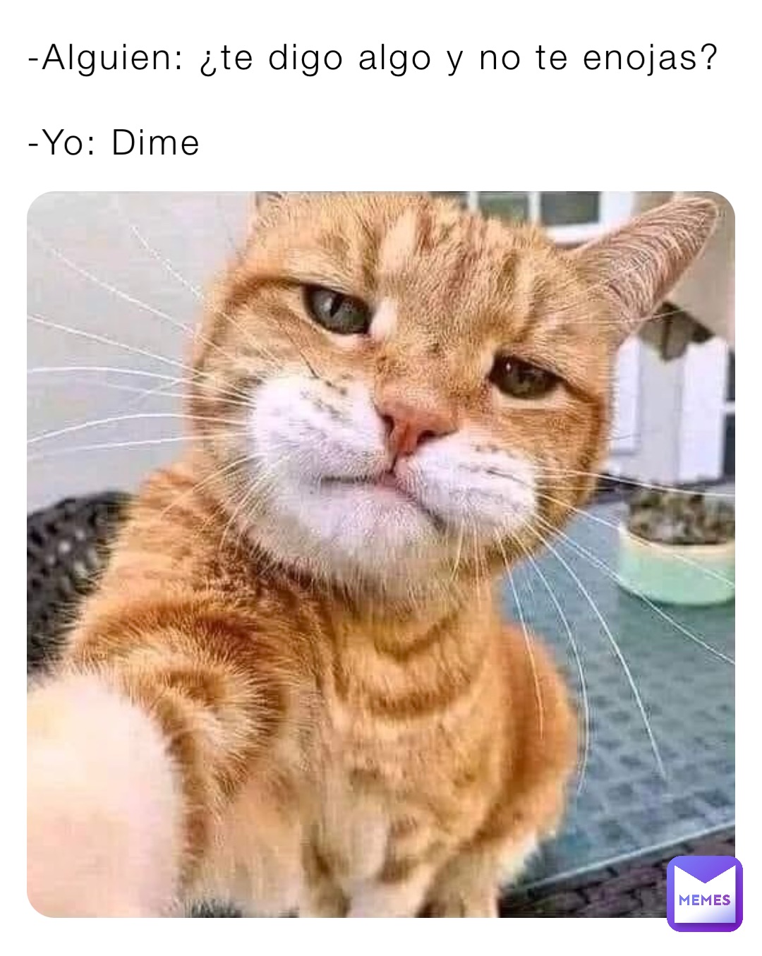 -Alguien: ¿te digo algo y no te enojas?

-Yo: Dime