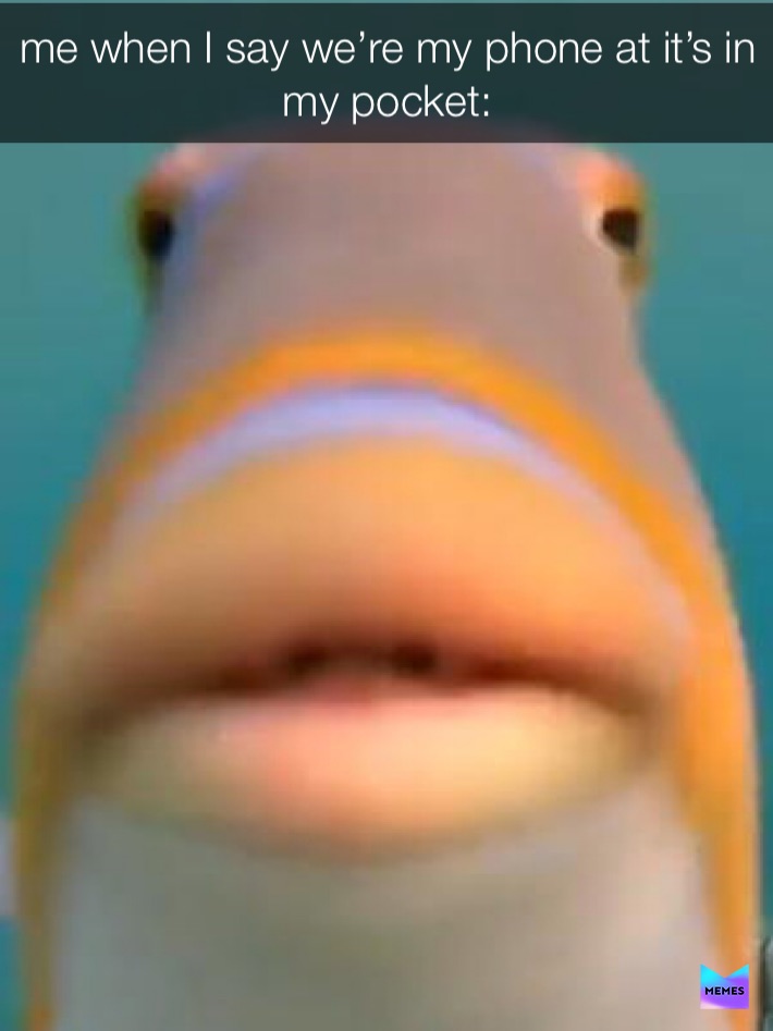 Meme by bruh_fish_on_me