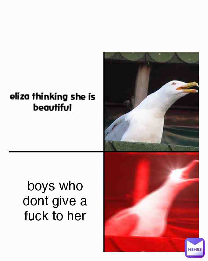 Meme preview