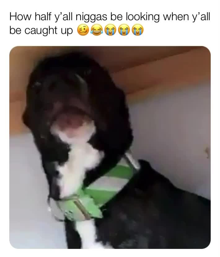 Meme preview