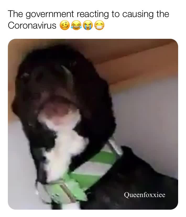 Meme preview