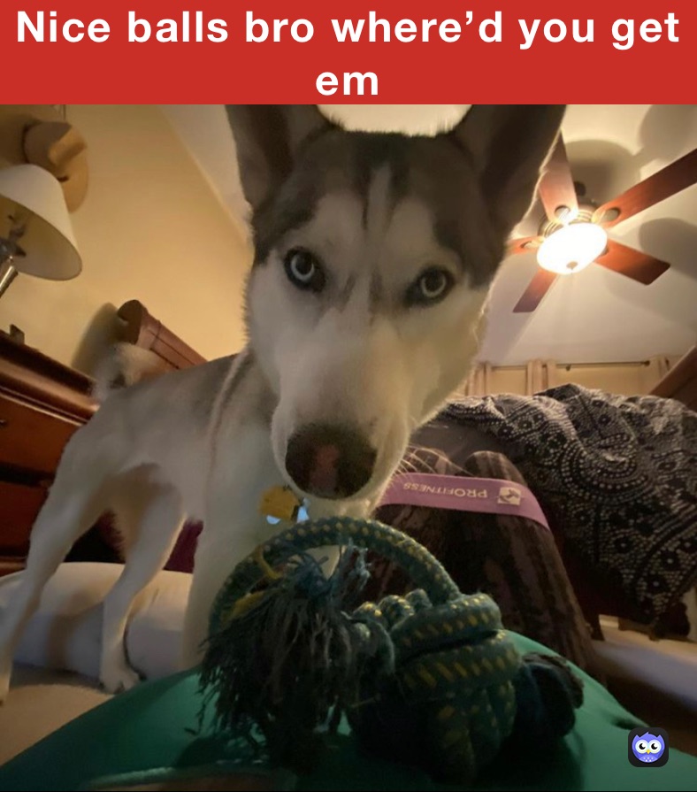 Nice balls bro where’d you get em 