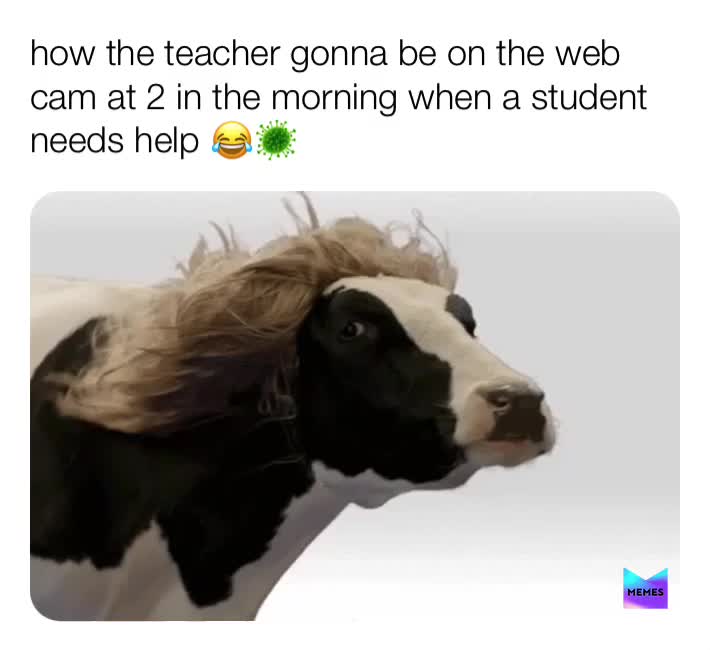 Meme preview