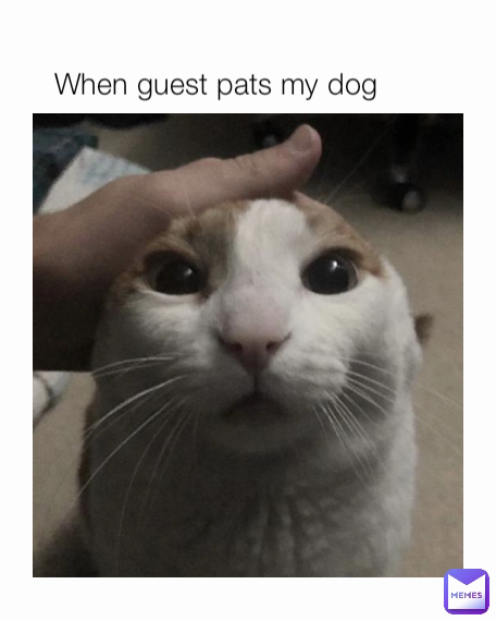 When guest pats my dog